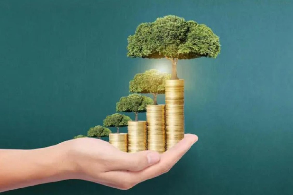 惠州民间空放私人借款全天候专业服务